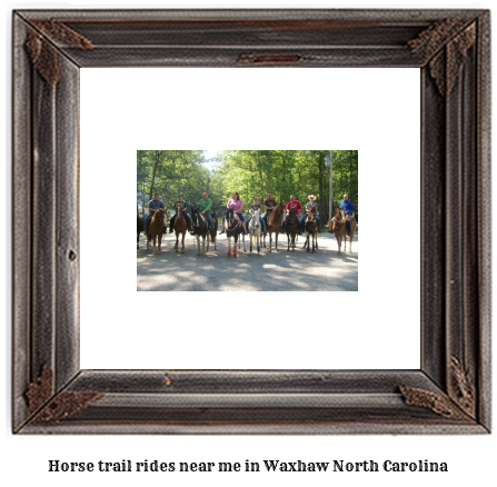 horse trail rides near me in Waxhaw, North Carolina